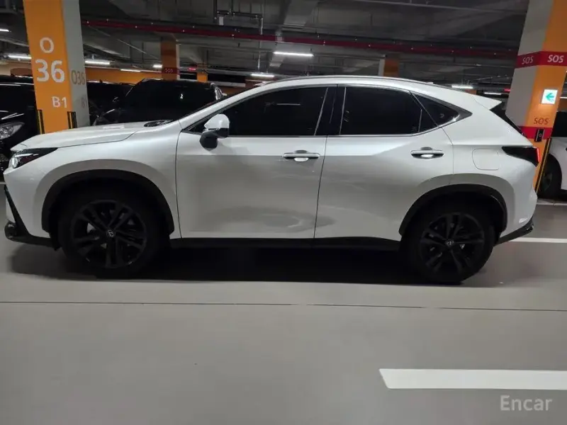2024 Lexus NX с пробегом 12 000 км