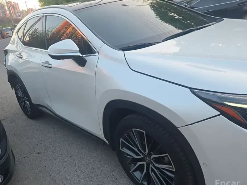 2023 Lexus NX с пробегом 50 141 км