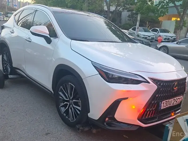 2023 Lexus NX с пробегом 50 141 км