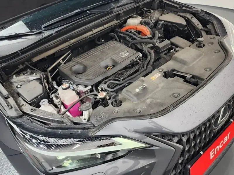 2024 Lexus NX с пробегом 29 381 км