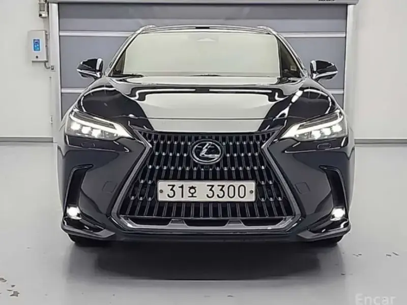 2022 Lexus NX с пробегом 31 843 км