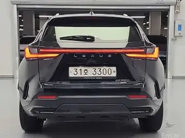 2022 Lexus NX с пробегом 31 843 км