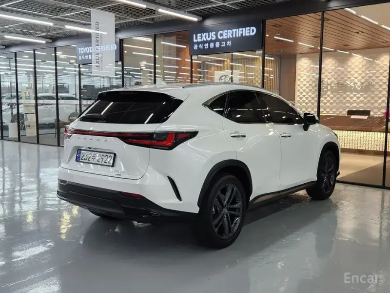 2023 Lexus NX с пробегом 43 111 км