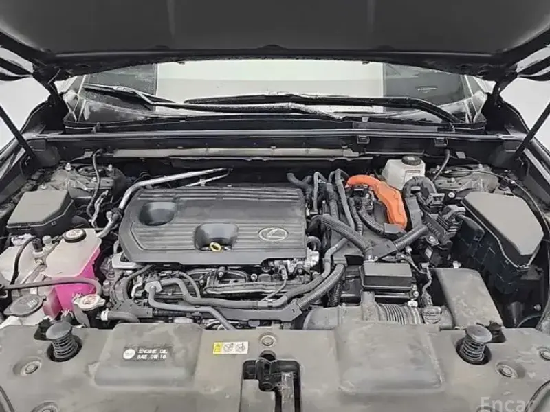 2022 Lexus NX с пробегом 31 843 км
