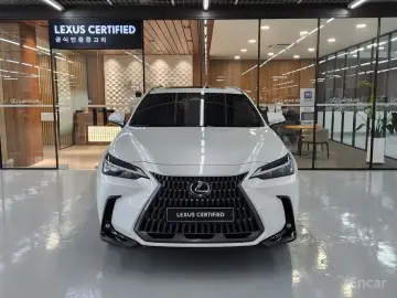 2023 Lexus NX с пробегом 43 111 км