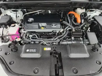 2023 Lexus NX с пробегом 43 111 км