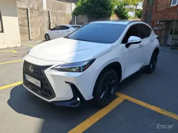 2025 Lexus NX с пробегом 9 733 км