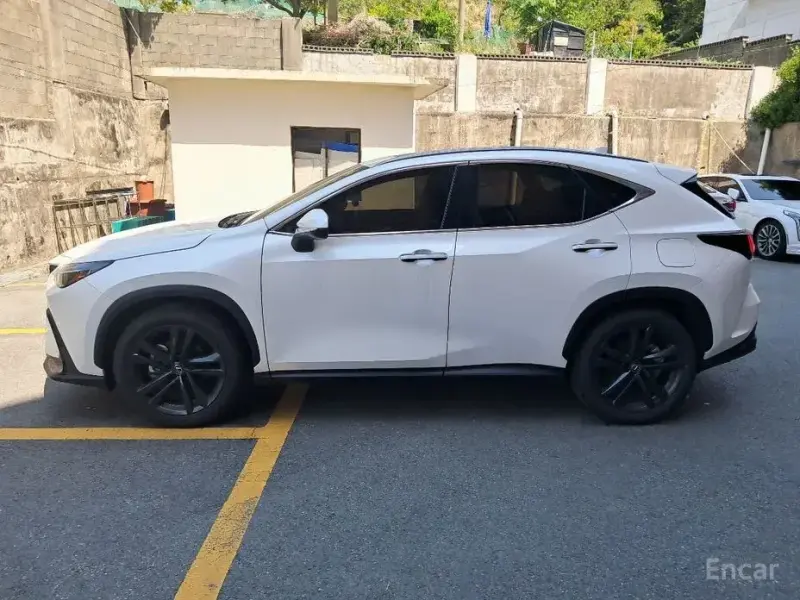 2025 Lexus NX с пробегом 9 733 км