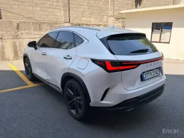 2025 Lexus NX с пробегом 9 733 км