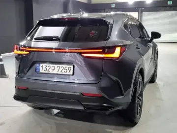 2023 Lexus NX с пробегом 53 000 км