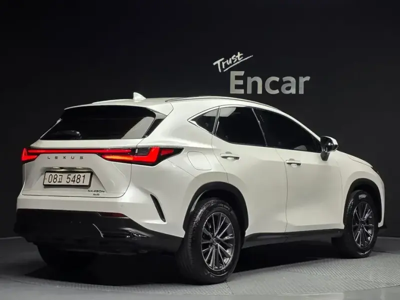 2024 Lexus NX с пробегом 50 833 км