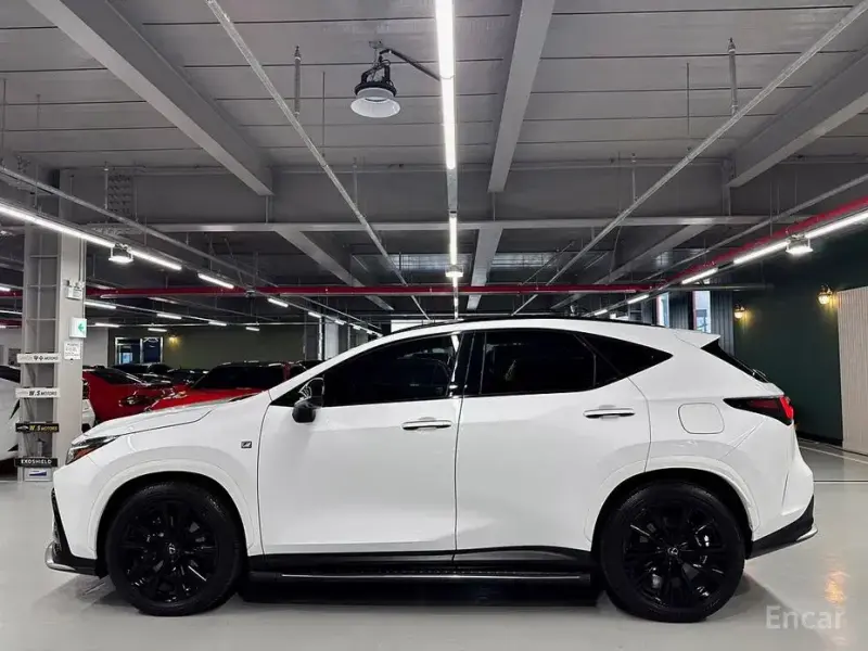 2023 Lexus NX с пробегом 25 334 км