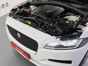 2019 Jaguar F-Pace с пробегом 114 025 км