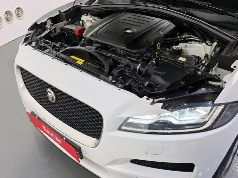 2019 Jaguar F-Pace с пробегом 114 025 км