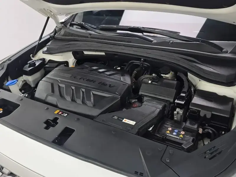 2019 Hyundai Santa Fe с пробегом 98 479 км