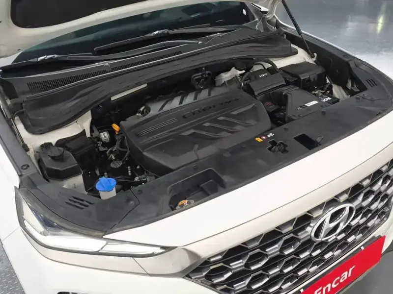 2019 Hyundai Santa Fe с пробегом 135 266 км
