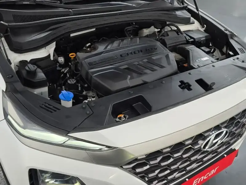 2019 Hyundai Santa Fe с пробегом 46 253 км