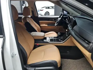 2023 Kia Carnival с пробегом 53 166 км