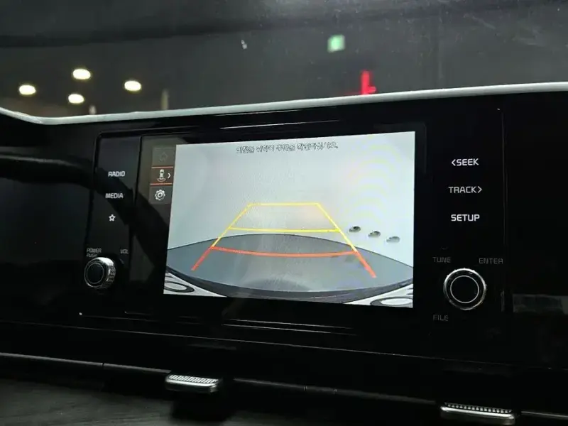2022 Kia Carnival с пробегом 29 159 км