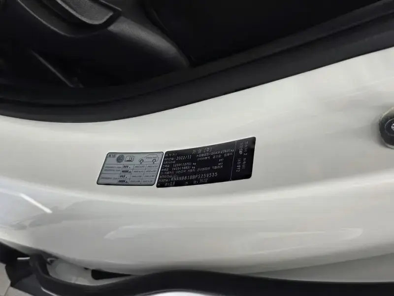 2022 Kia Carnival с пробегом 100 345 км