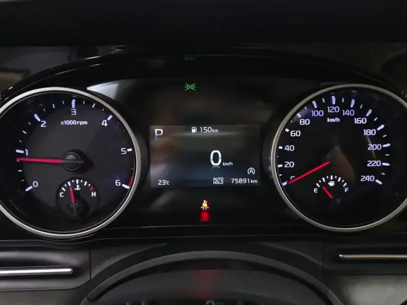 2022 Kia Carnival с пробегом 75 891 км