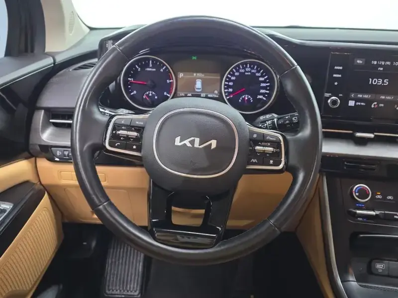 2022 Kia Carnival с пробегом 46 673 км