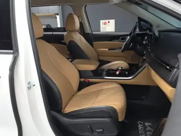 2022 Kia Carnival с пробегом 54 733 км