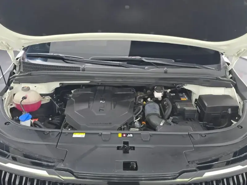 2022 Kia Carnival с пробегом 48 833 км