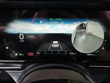 2021 Kia Carnival с пробегом 47 411 км