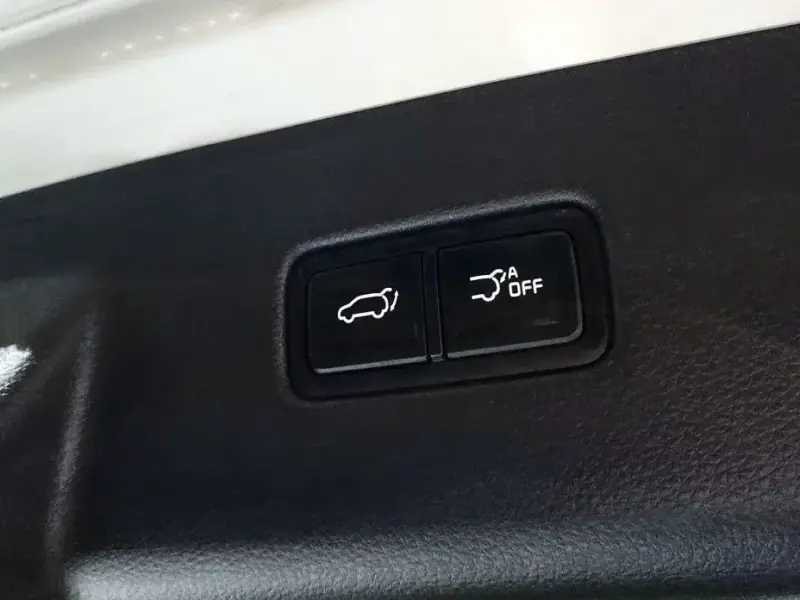 2022 Kia Carnival с пробегом 51 613 км