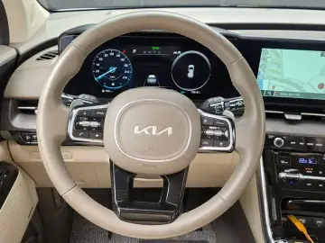 2023 Kia Carnival с пробегом 17 813 км