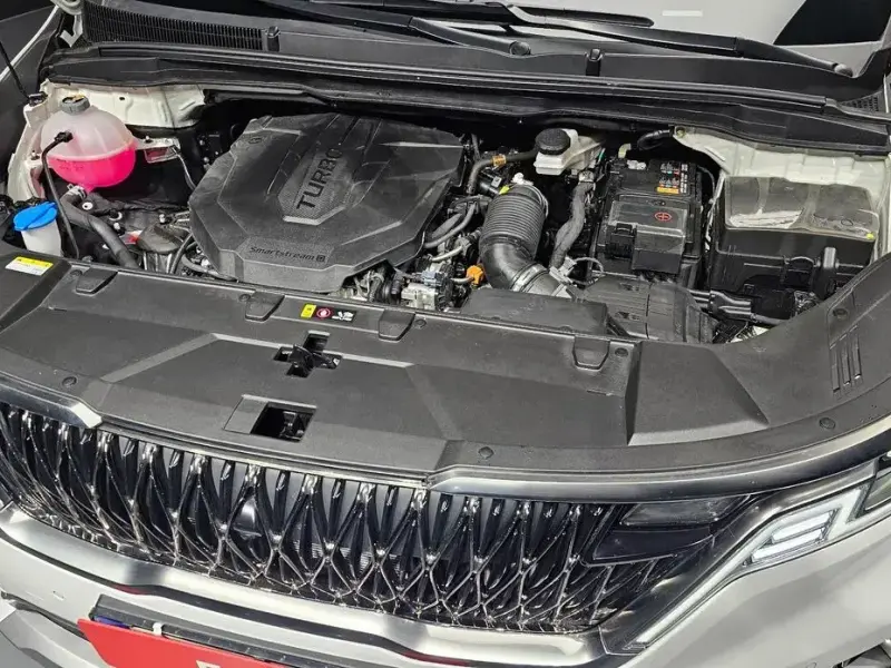 2023 Kia Carnival с пробегом 19 938 км