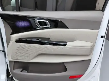 2023 Kia Carnival с пробегом 29 856 км