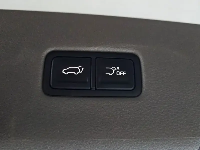 2021 Kia Carnival с пробегом 60 045 км