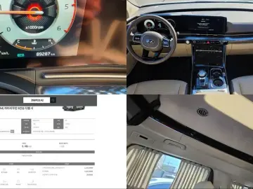 2021 Kia Carnival с пробегом 89 228 км