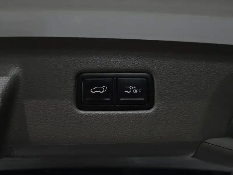 2022 Kia Carnival с пробегом 25 597 км