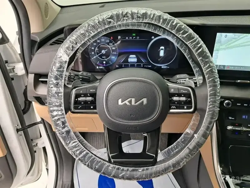 2022 Kia Carnival с пробегом 30 305 км