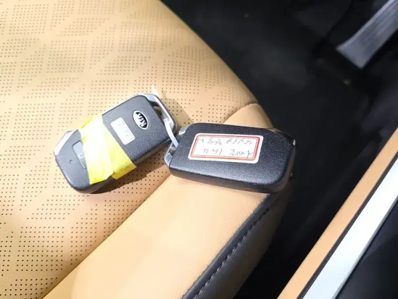 2021 Kia Carnival с пробегом 58 379 км