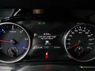 2022 Kia Carnival с пробегом 75 299 км