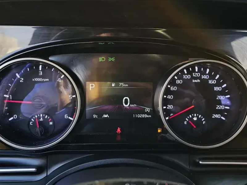 2021 Kia Carnival с пробегом 110 289 км