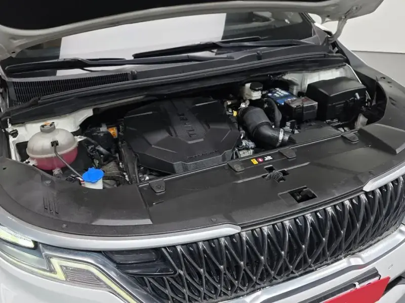 2021 Kia Carnival с пробегом 163 928 км