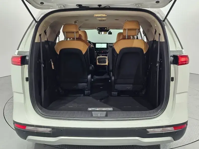 2023 Kia Carnival с пробегом 30 346 км