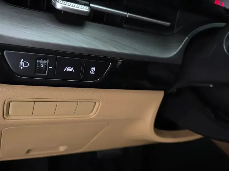 2023 Kia Carnival с пробегом 53 278 км