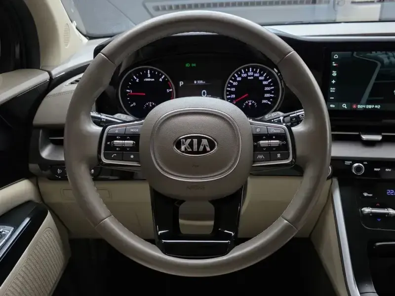 2021 Kia Carnival с пробегом 24 558 км
