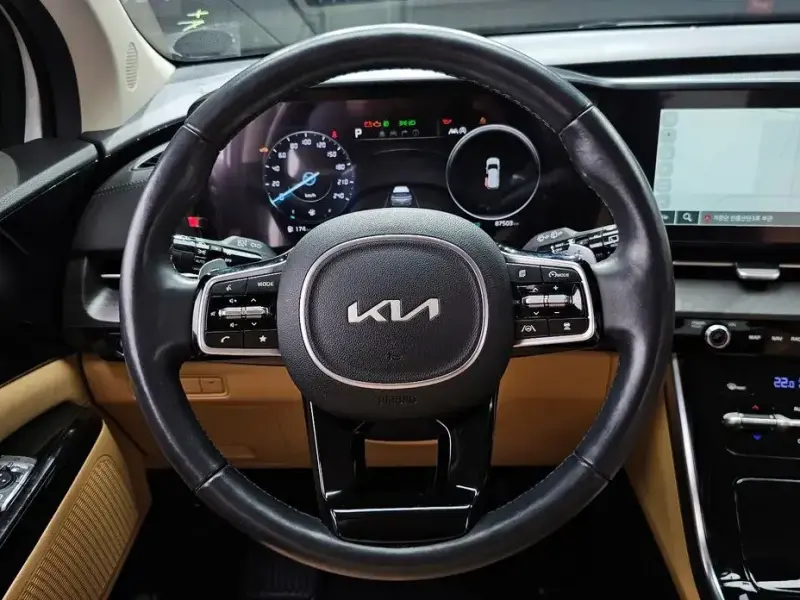 2022 Kia Carnival с пробегом 87 503 км