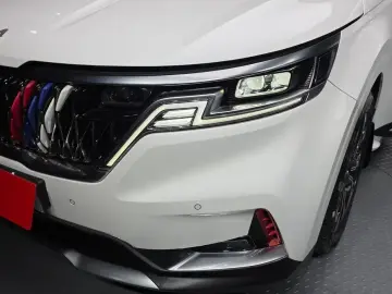 2021 Kia Carnival с пробегом 101 206 км