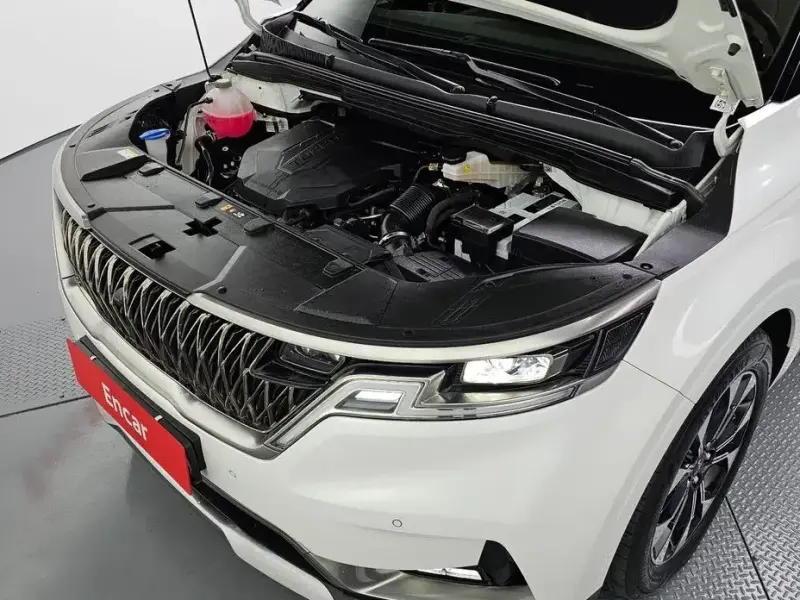 2023 Kia Carnival с пробегом 41 177 км