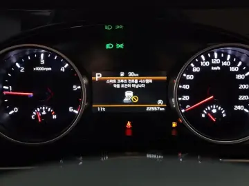 2022 Kia Carnival с пробегом 22 557 км