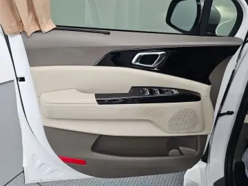 2023 Kia Carnival с пробегом 48 238 км