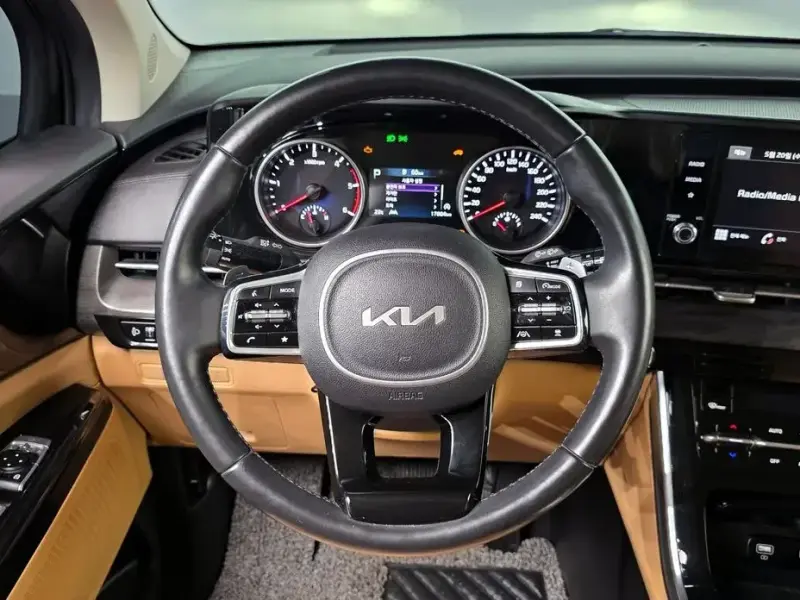 2022 Kia Carnival с пробегом 17 804 км